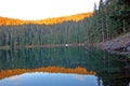 Refelctions of a forest in a lake