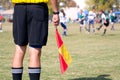 Referee Royalty Free Stock Photo