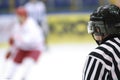 Referee at the hockey match Royalty Free Stock Photo