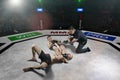 Referee is stopping mma fight after the submission move Royalty Free Stock Photo