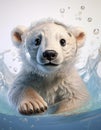Polarbear in the water cartoon Royalty Free Stock Photo