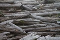 Driftwood Logjam at the Beach