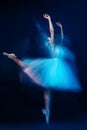 Refined ballet dancer Royalty Free Stock Photo