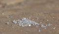 Refined sugar crystals on ground