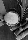 Refined sugar in a glass cup, with fresh sugar cane stems separate, on the old wooden floor Royalty Free Stock Photo