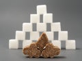 Refined sugar lump white and cane on a gray background Royalty Free Stock Photo