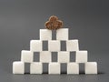 Refined sugar lump white and cane on a gray background Royalty Free Stock Photo