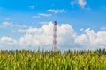 Refinery flare with the grass foreground