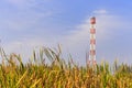 Refinery flare with the grass foreground and blue sky