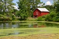 Reflected Barn (horizontal)