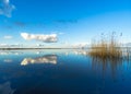 Reflected clouds and reed in a completely calm lake