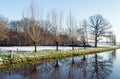 Reflected row of bare trees in wintertime Royalty Free Stock Photo