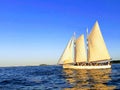 Reflected Sailboat in Boston Harbor sea ocean