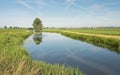 Reflected tree and contrails in a small stream Royalty Free Stock Photo