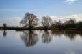 Reflected trees in a lake Royalty Free Stock Photo