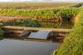 Reflected weir in a Dutch ditch Royalty Free Stock Photo