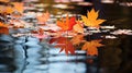 Beauty of autumn leaves reflection Royalty Free Stock Photo