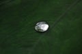 Water Drop on a leaf