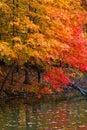 Reflecting Pond