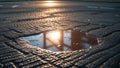 Reflecting sunlight in a puddle on the textured asphalt surface Royalty Free Stock Photo
