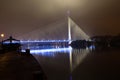 Reflection of Ada bridge and ship on Sava river