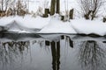 Reflection of an alder tree in river on a winter`s day Royalty Free Stock Photo