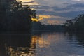 Yasuni national park, Amazon Rainforest, Ecuador Royalty Free Stock Photo