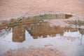 Reflection of Gatchina Palace in puddles