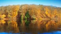 Reflection autumn colorful trees in the forest lake. Royalty Free Stock Photo