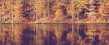 Reflection autumn colorful trees in the forest lake. Royalty Free Stock Photo