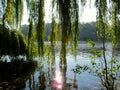 Reflection of autumn foliage of trees in the lake water Royalty Free Stock Photo