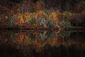 Reflection of autumn forest in lake