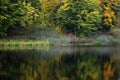 Reflection of autumn forest in the lake. Royalty Free Stock Photo