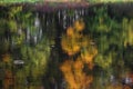 Reflection of autumn forest in the lake. Royalty Free Stock Photo