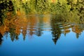 Reflection of the autumn forest in the mirror of the lake Royalty Free Stock Photo