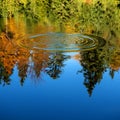 Reflection of the autumn forest in the mirror of the lake Royalty Free Stock Photo