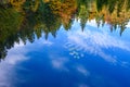 Reflection of the autumn forest in the mirror of the lake Royalty Free Stock Photo