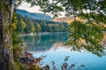 Reflection of autumn forest on the surface of the water in a lake in the mountains in the Alps from the shore