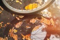 Reflection in the autumn moon of the bicycle wheel.