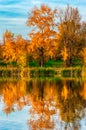 Golden autumn on a small river - view from the water on the yellow trees on the banks and the blue sky with clouds Royalty Free Stock Photo