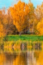 Golden autumn on a small river - view from the water on the yellow trees on the banks and the blue sky with clouds Royalty Free Stock Photo