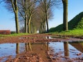 Reflection of autumn trees on the rainwater in Oudheusden town, the Netherlands