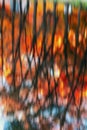 Reflection of autumn trees and sky in water. Colorful red leafs, bright autumn colors, blue water surface. Natural Royalty Free Stock Photo