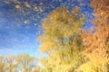 Reflection of autumn trees in a transparent mirror of water Royalty Free Stock Photo