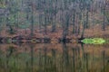 Reflection of bare trees in the mirror of the river Royalty Free Stock Photo