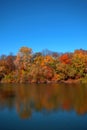 Reflection of a beautiful autumn forest in the river, against the background of a clear blue sky without clouds Royalty Free Stock Photo