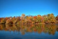 Reflection of a beautiful autumn forest in the river, against the background of a clear blue sky without clouds Royalty Free Stock Photo