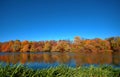 Reflection of a beautiful autumn forest in the river, against the background of a clear blue sky without clouds, with Royalty Free Stock Photo