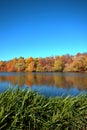 Reflection of a beautiful autumn forest in the river, against the background of a clear blue sky without clouds, with Royalty Free Stock Photo