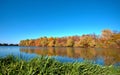 Reflection of a beautiful autumn forest in the river, against the background of a clear blue sky without clouds, with Royalty Free Stock Photo